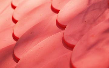 Napley plastic roof costs