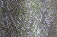 Napley fibreglass roof work